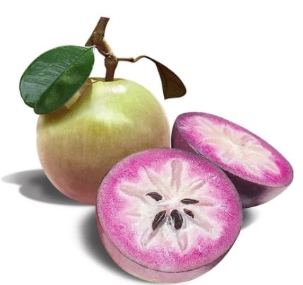 Milk Fruit - Star Apple