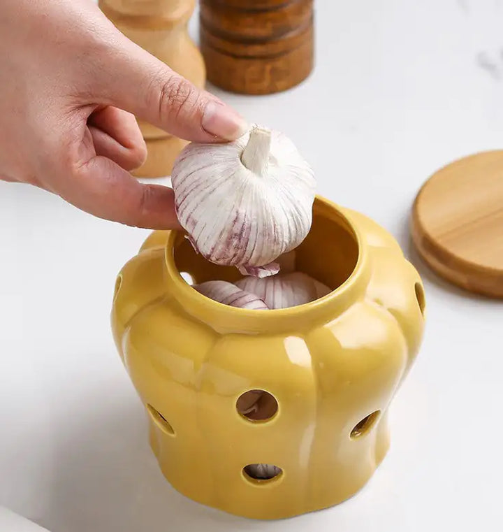 Elegant Porcelain Garlic Keeper