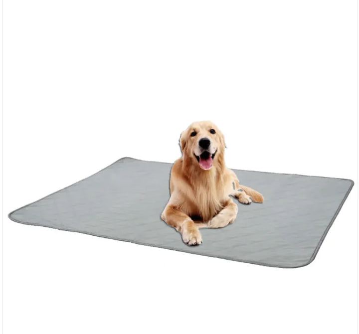 Reusable Non-Slip Pet Absorbent Pad