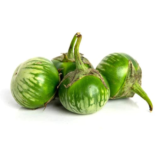 Green Eggplant