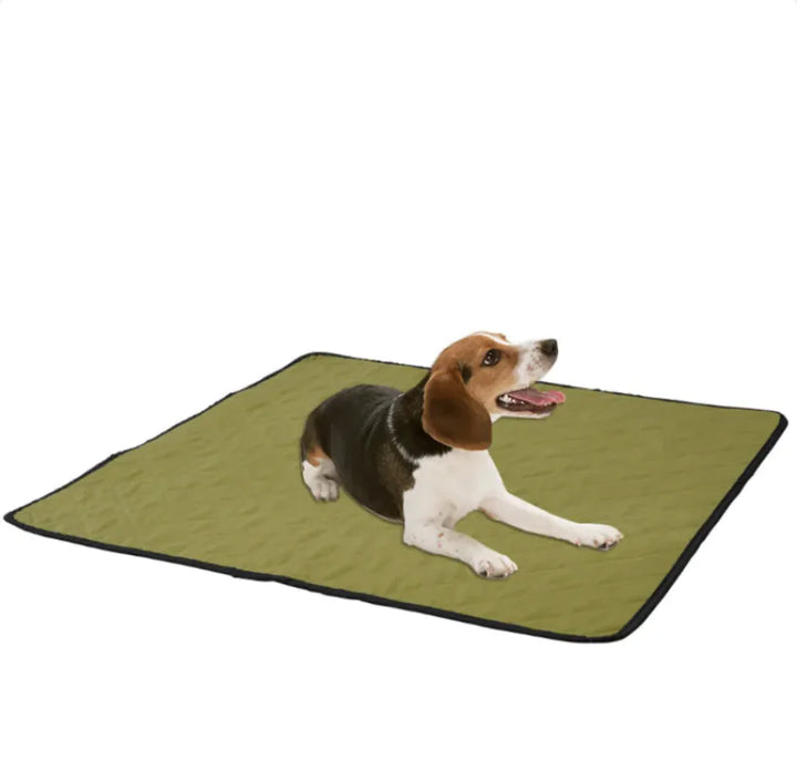 Reusable Non-Slip Pet Absorbent Pad