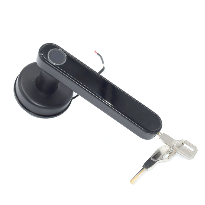 Smart WiFi Remote Controlled Door Lock