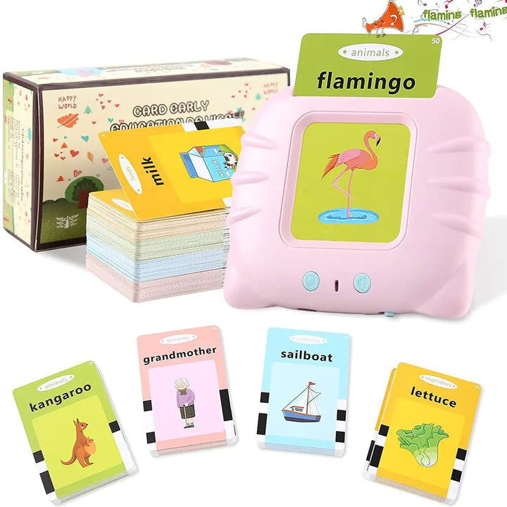 Educational Flash Card Reader