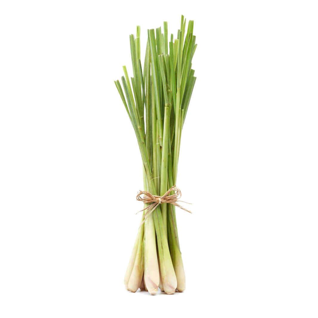 Lemon Grass