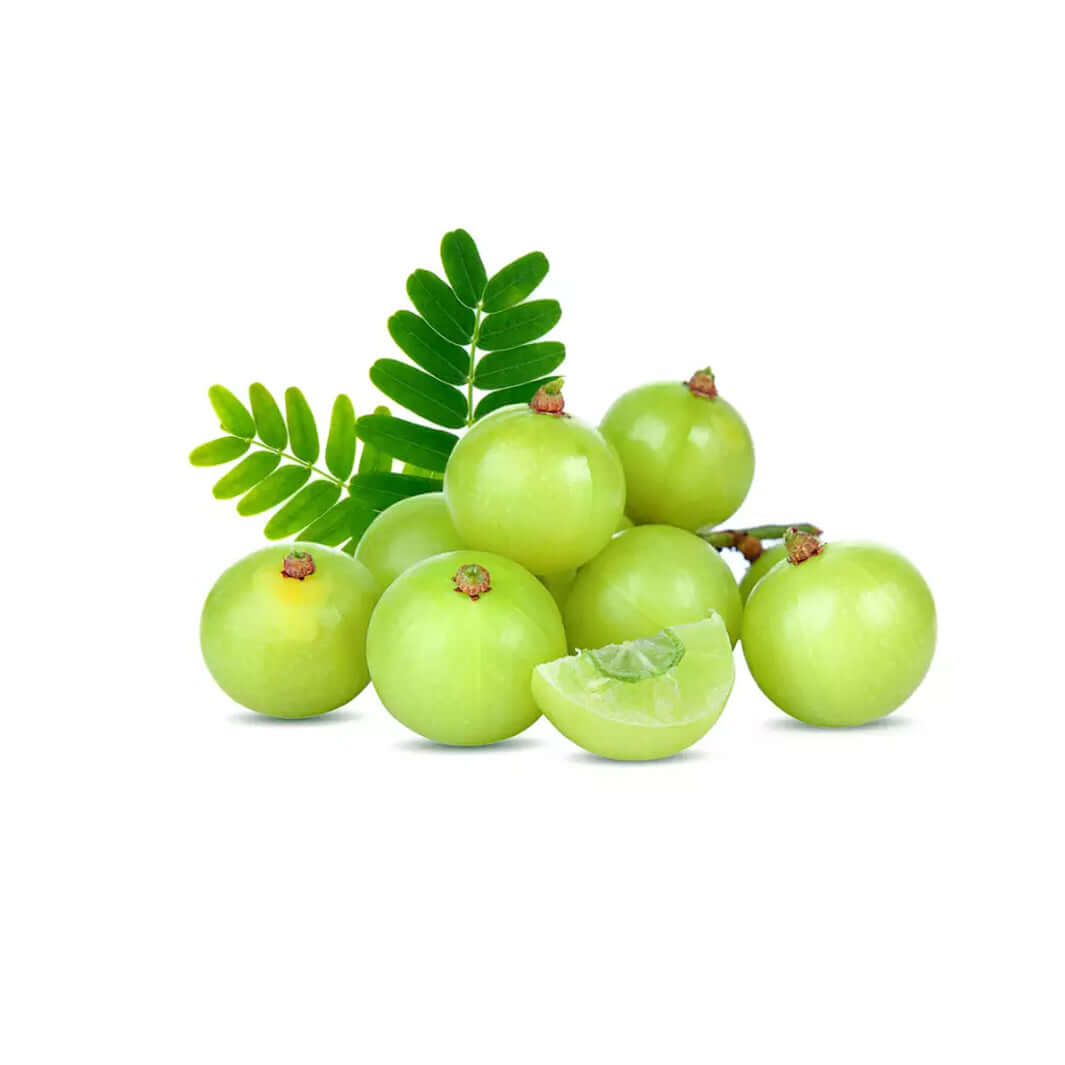 Fresh Amla MD-Store