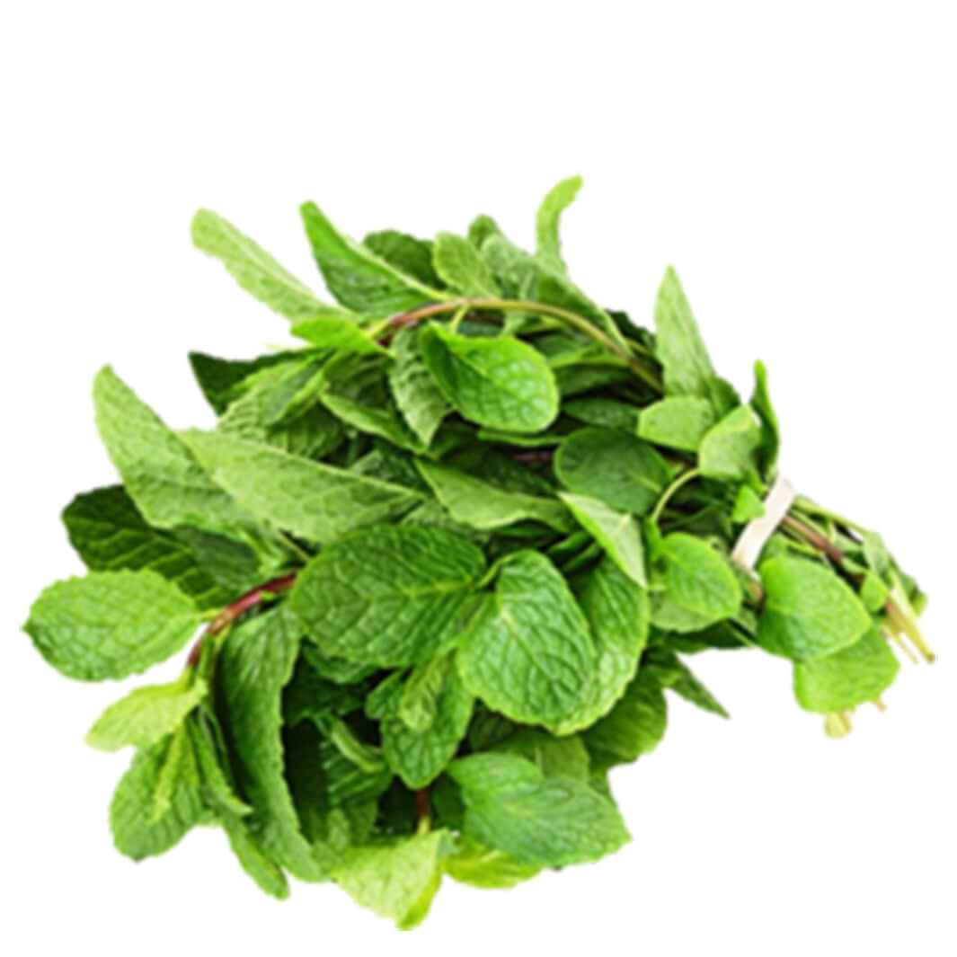 Fresh Mint 1 bunch MD-Store