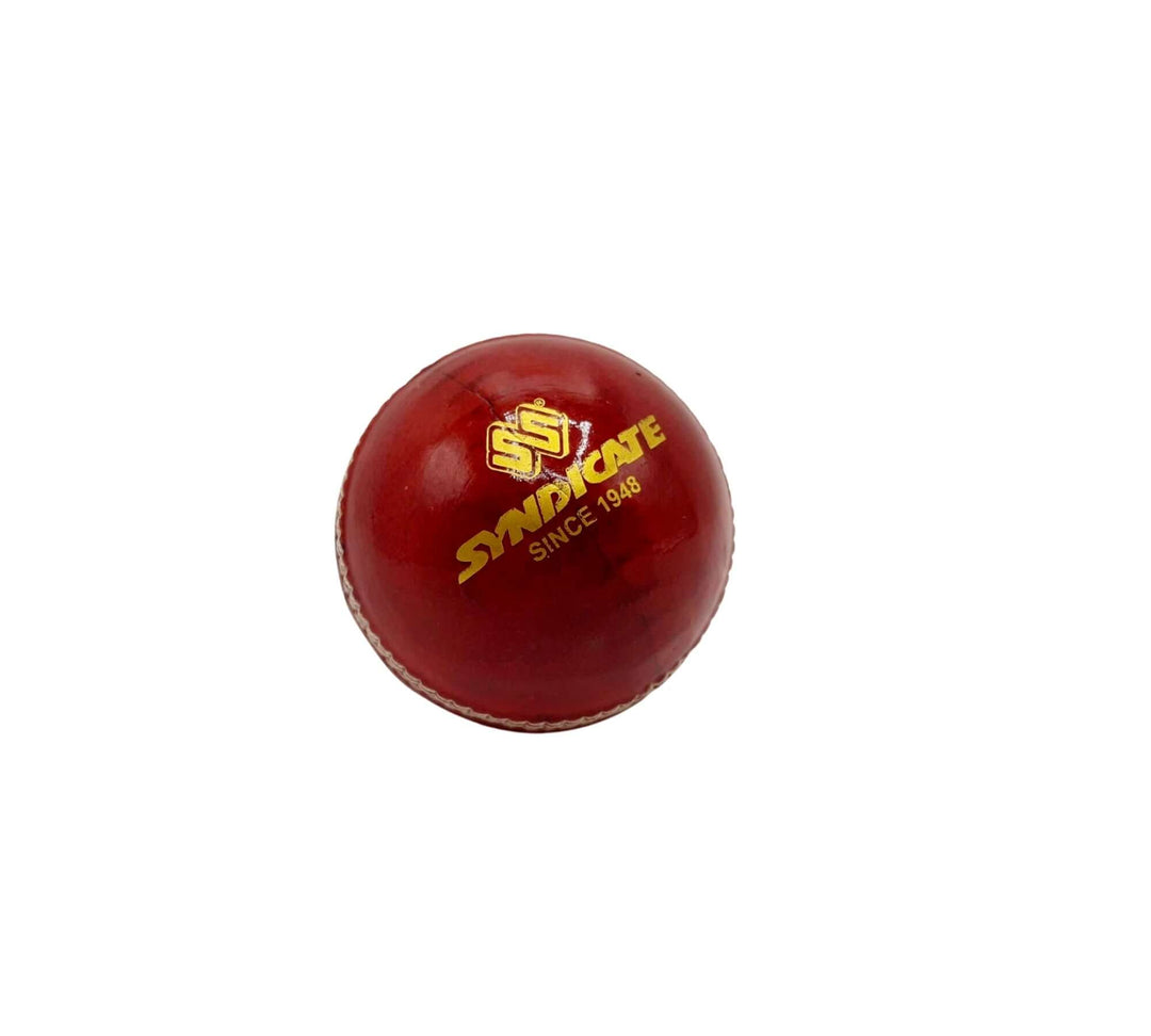 Cricket Leather Ball