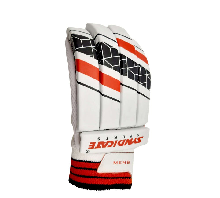 Cricket Batting Gloves