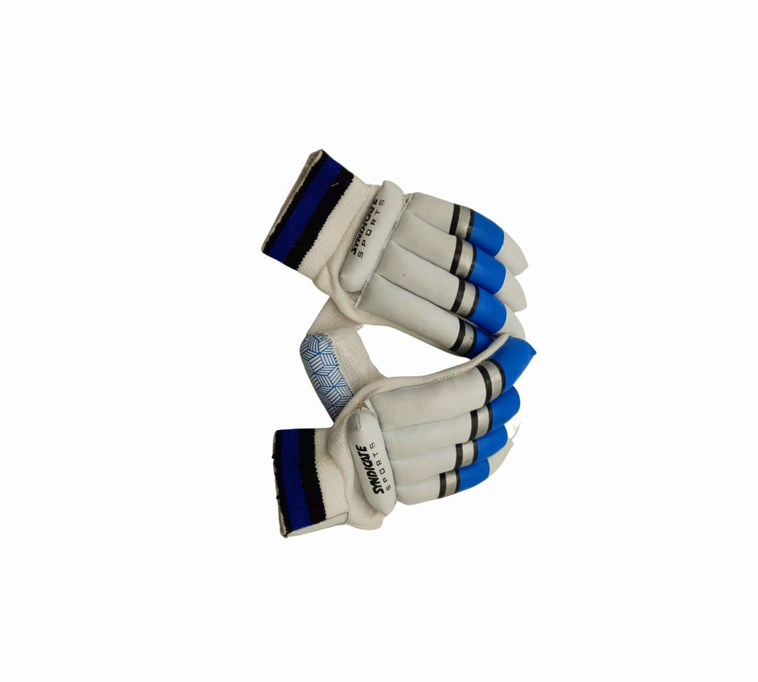 Cricket Batting Gloves